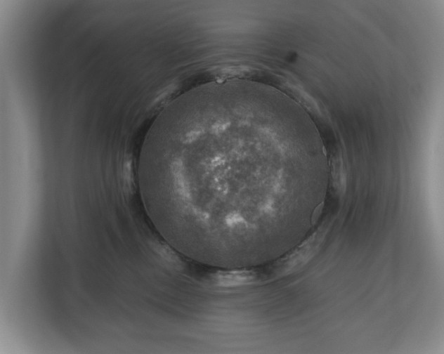 X0000111200378200907081246