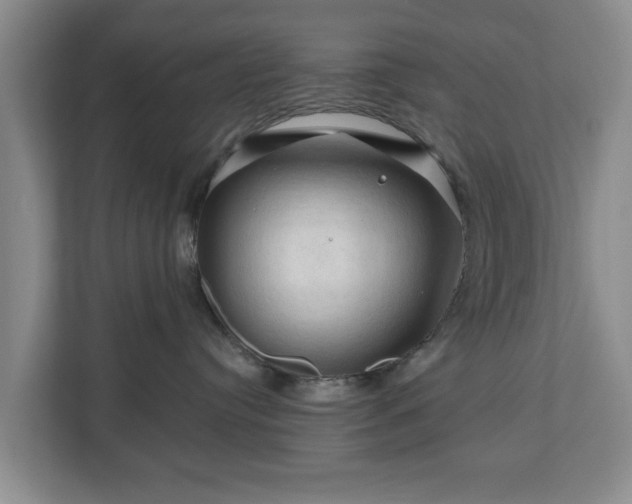 X0000111200384200907081247