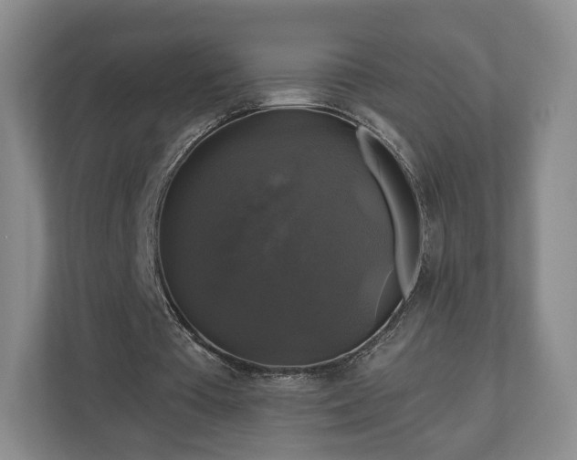 X0000111200385200907081246