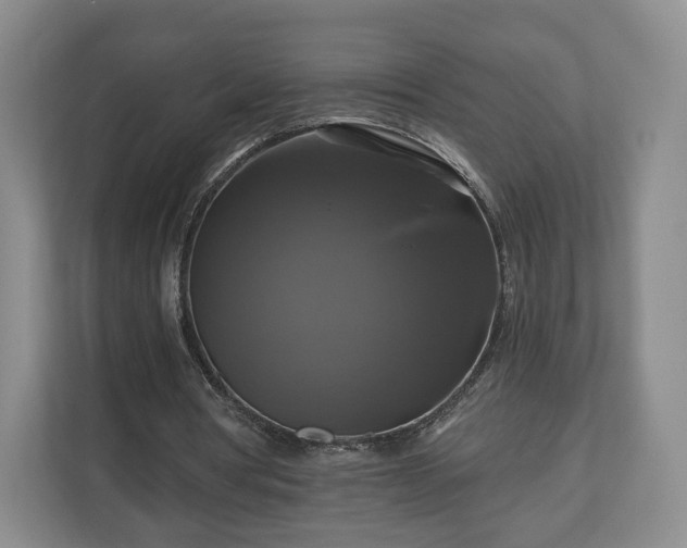 X0000111200386200907081246