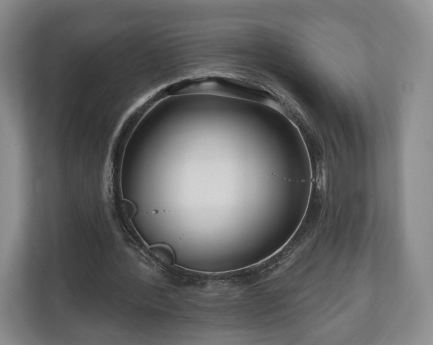 X0000111200388200907081246