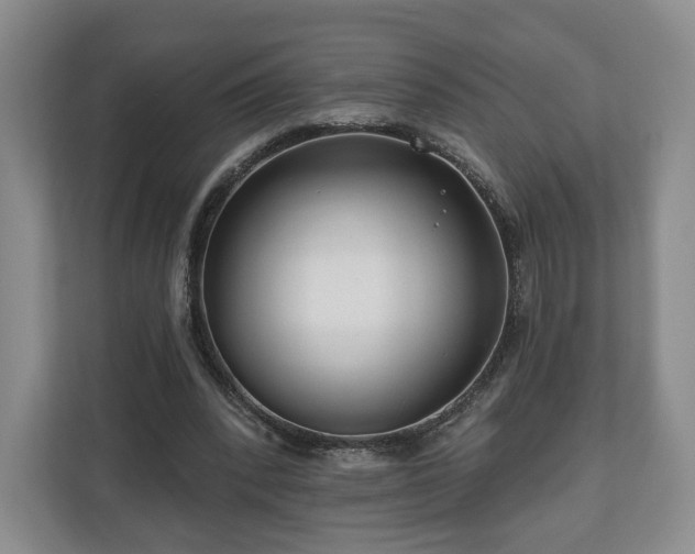 X0000111200392200907081246