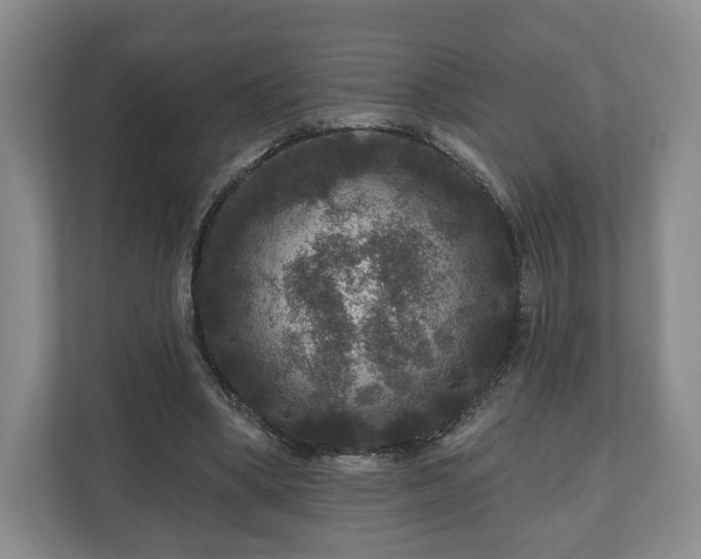 X0000111200394200907081246