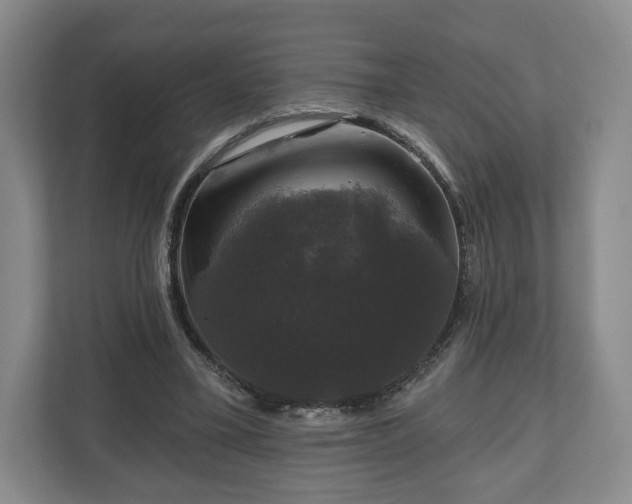 X0000111200395200907081246