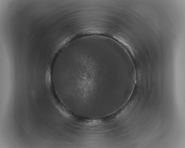 X0000111200398200907081246