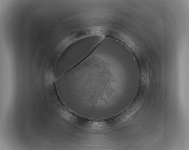 X0000111200401200907081246