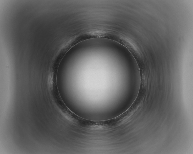 X0000111200404200907081246