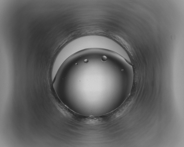 X0000111200405200907081246