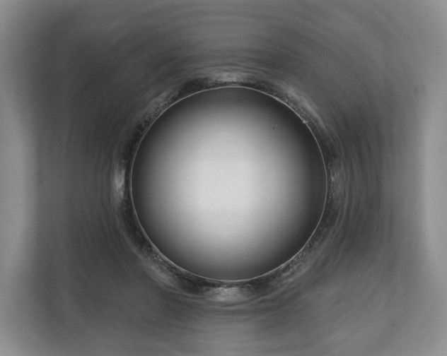 X0000111200406200907081246