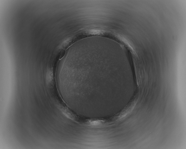 X0000111200407200907081246