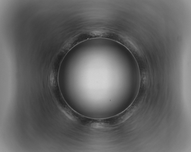 X0000111200408200907081246