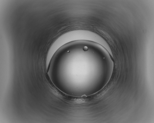 X0000111200409200907081246