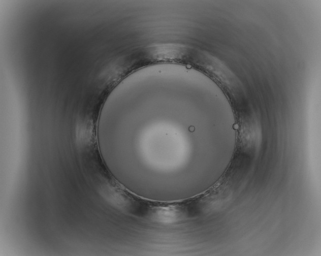 X0000111200411200907081246