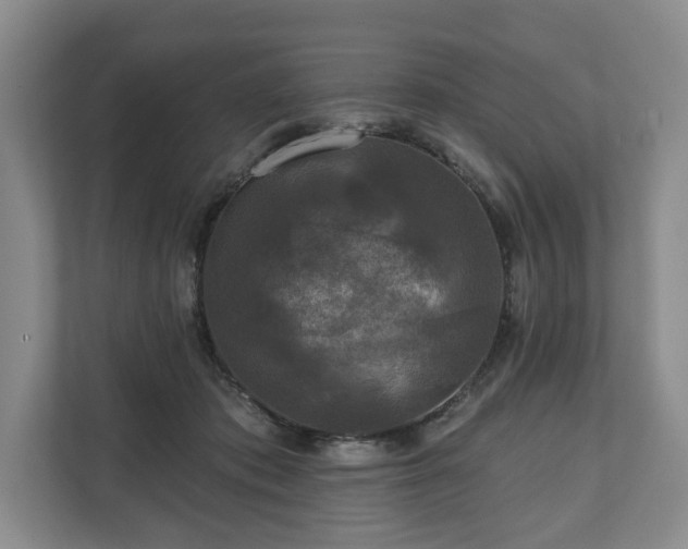 X0000111200413200907081246