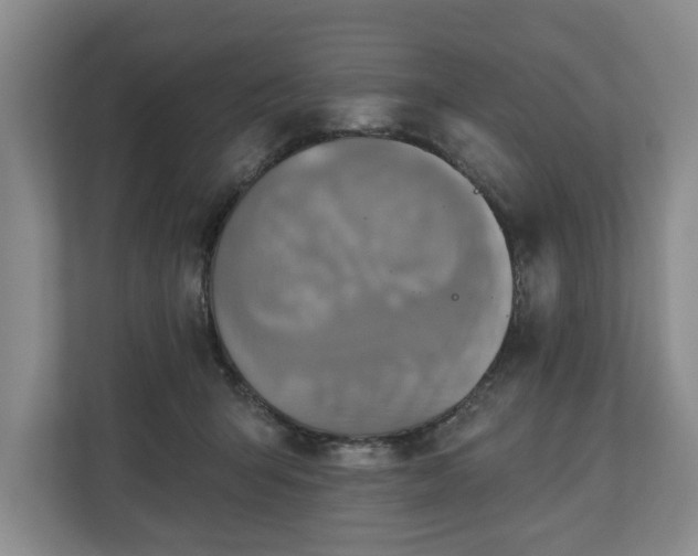 X0000111200415200907081246