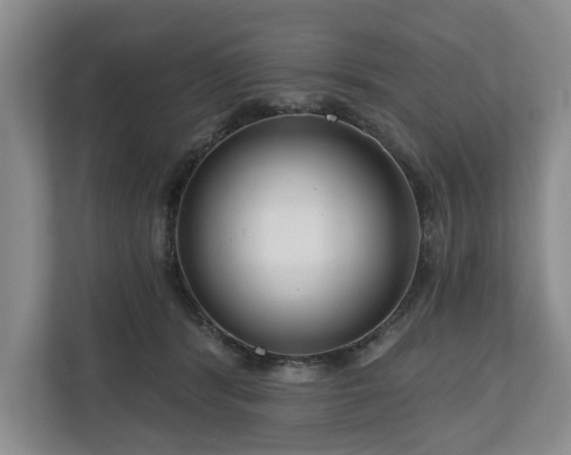 X0000111200416200907081246