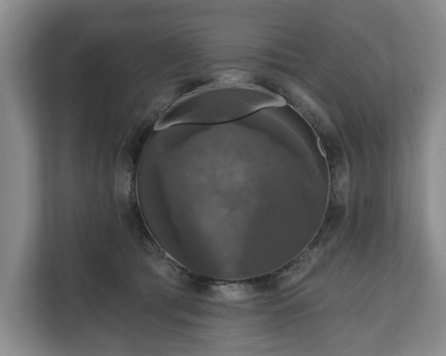 X0000111200417200907081246