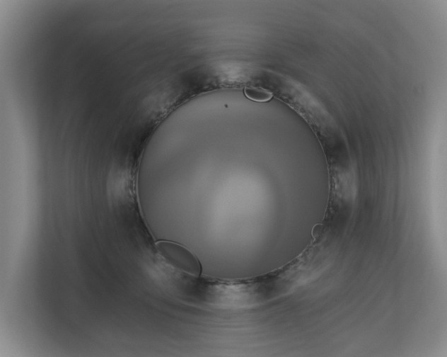 X0000111200419200907081245