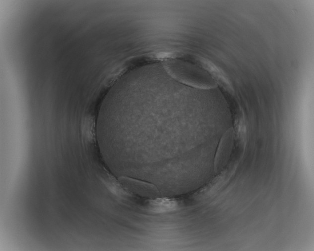 X0000111200421200907081245