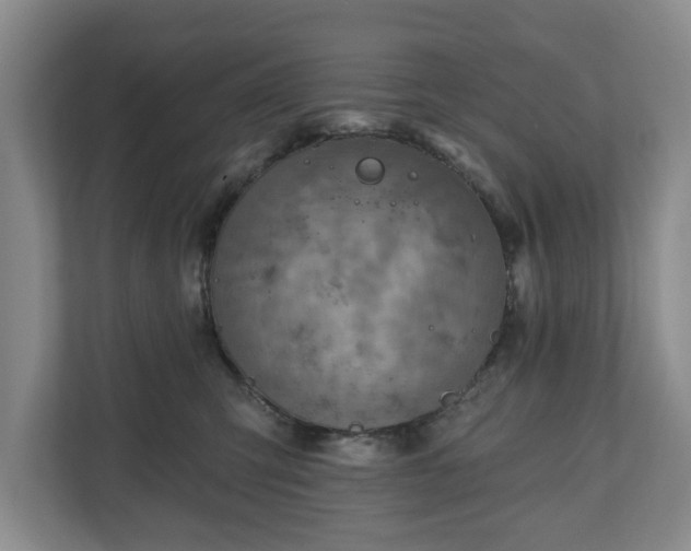 X0000111200423200907081245