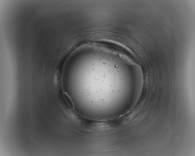 X0000111200424200907081245