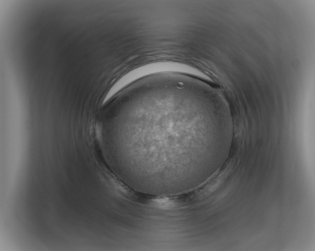 X0000111200425200907081245