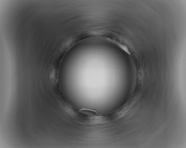 X0000111200428200907081245