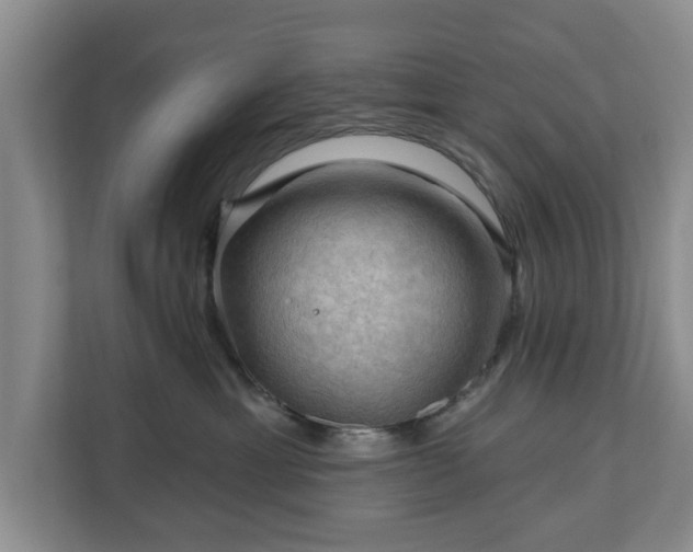 X0000111200429200907081245