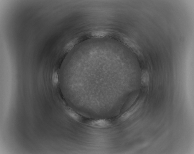 X0000111200431200907081245