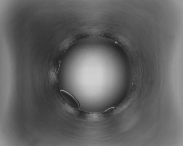 X0000111200432200907081245