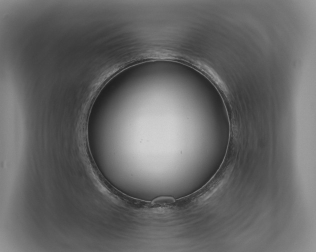 X0000111200433200907081245