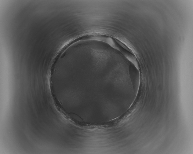 X0000111200434200907081245