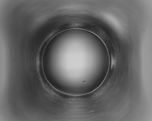 X0000111200435200907081245