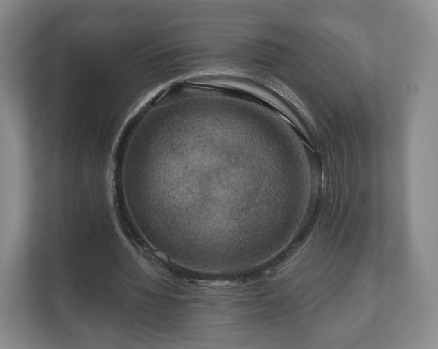 X0000111200436200907081245