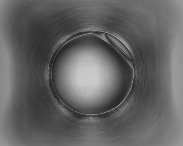 X0000111200437200907081245