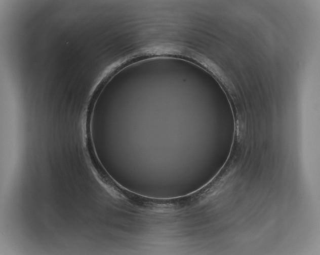 X0000111200438200907081245