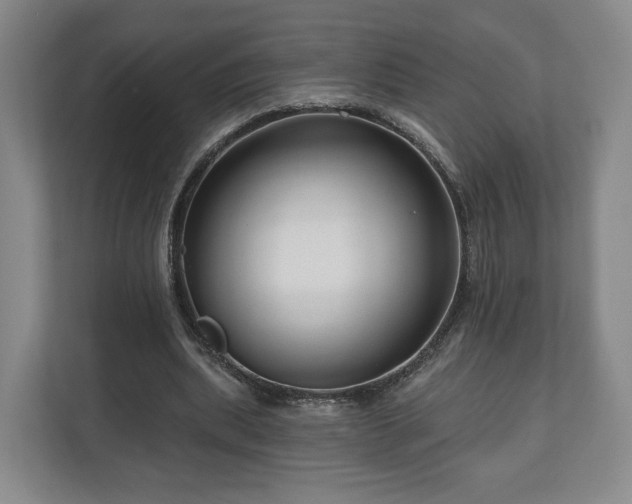 X0000111200439200907081245