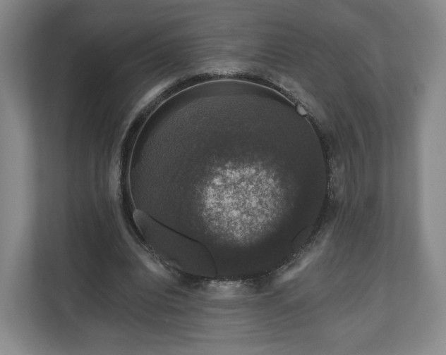 X0000111200440200907081245