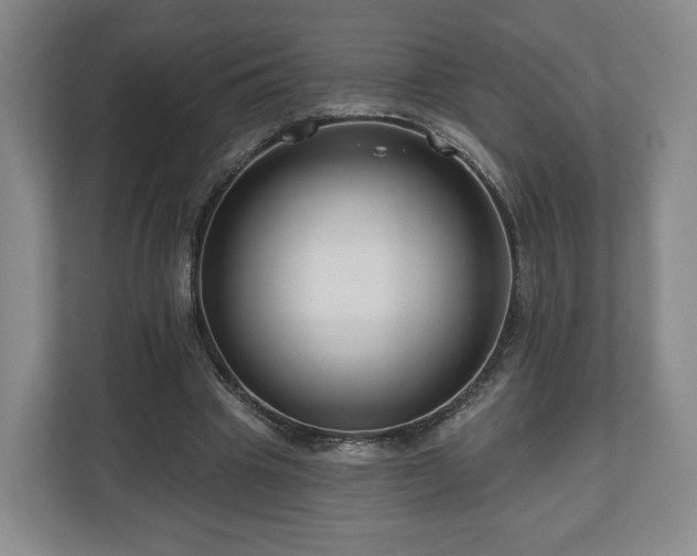 X0000111200441200907081245