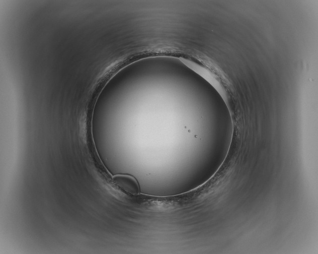 X0000111200442200907081245