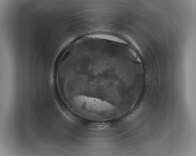 X0000111200443200907081245