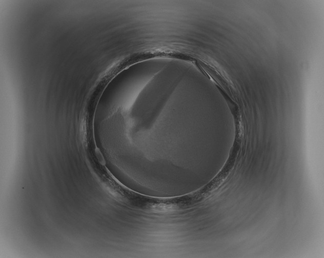 X0000111200444200907081245