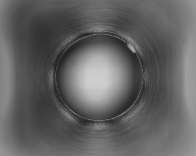 X0000111200445200907081245