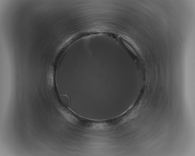 X0000111200446200907081245