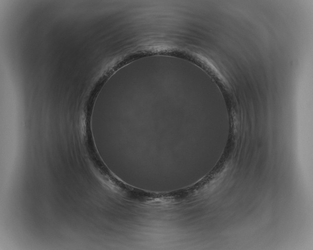 X0000111200447200907081245