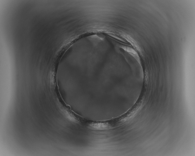 X0000111200449200907081245