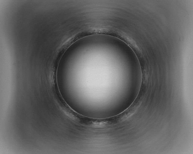 X0000111200450200907081245