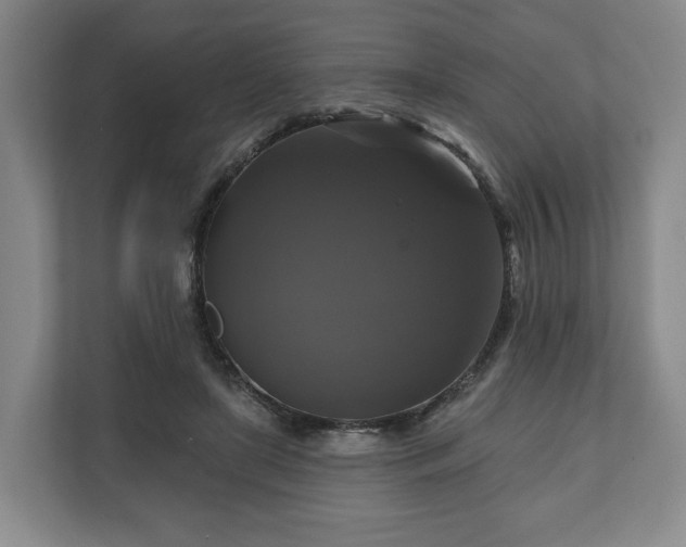 X0000111200451200907081245