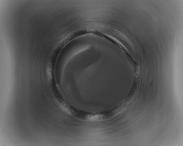 X0000111200452200907081245