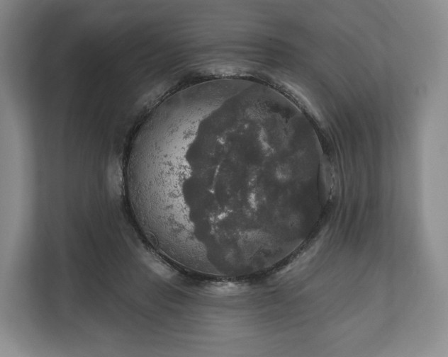 X0000111200453200907081245